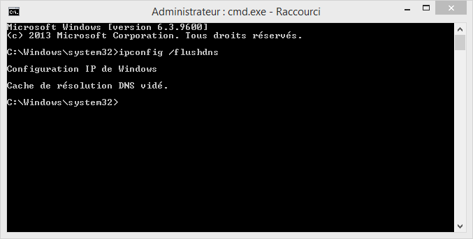 command line flushdns.PNG