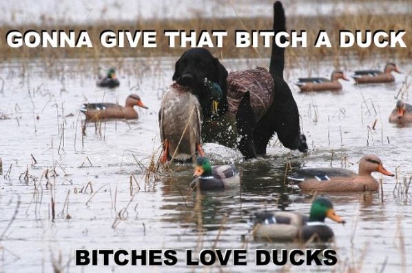 Love_Ducks.jpg