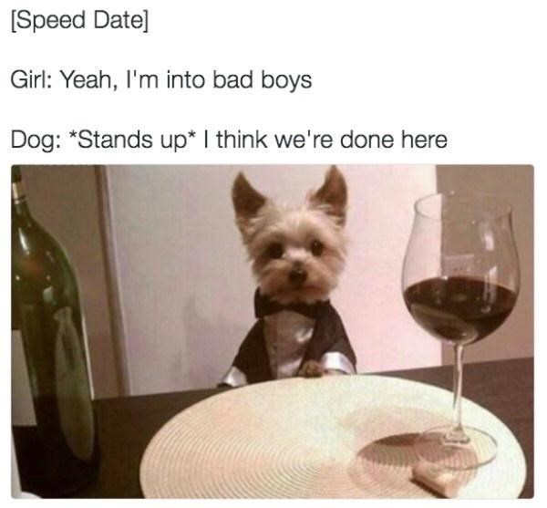 dog-speed-date-girl-yeah-into-bad-boys-dog-stands-up-think-done-here.jpeg