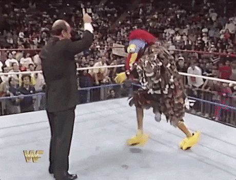 turkey_dancing_in_wrestling_ring__animated.gif