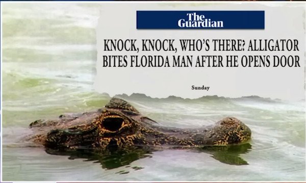 knock-knock_alligator.jpg