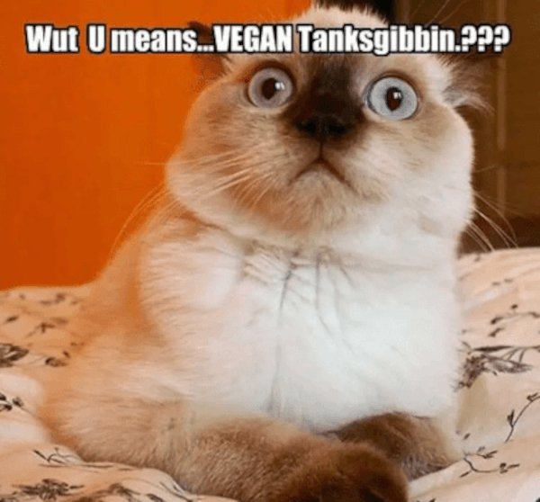 scaled_wut-u-means-vegan-tanksgibbin.jpg