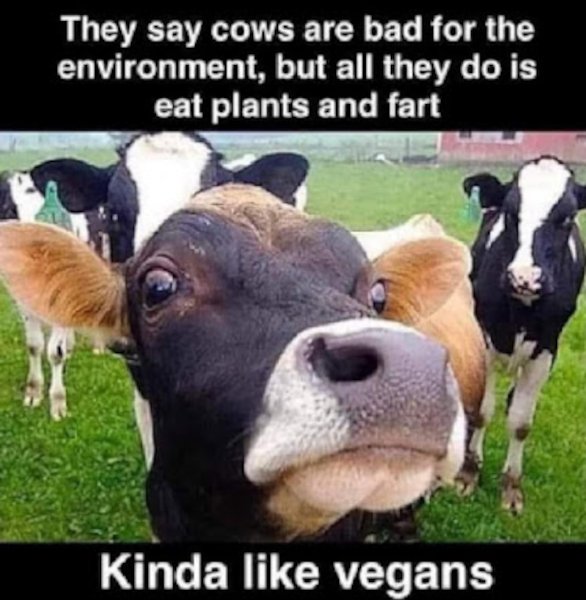 kinda-like-vegans.jpg