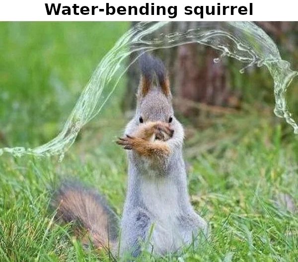 water-bending_squirrel_vna.jpg