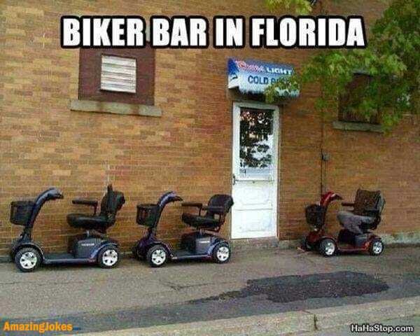 biker_bar_in_florida.jpg