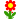 flower :flower: