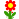 :flower: